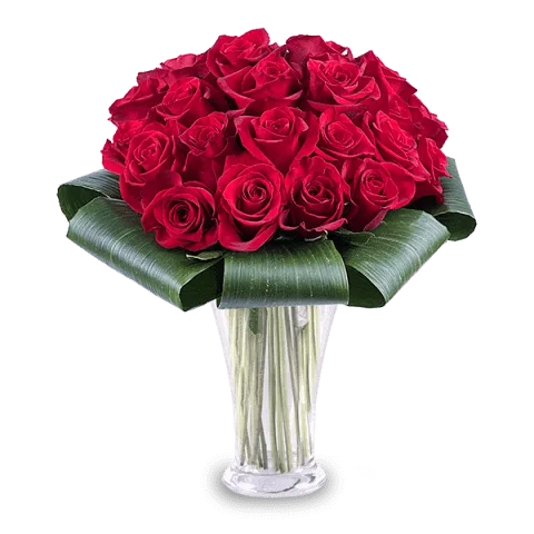 25 Roses