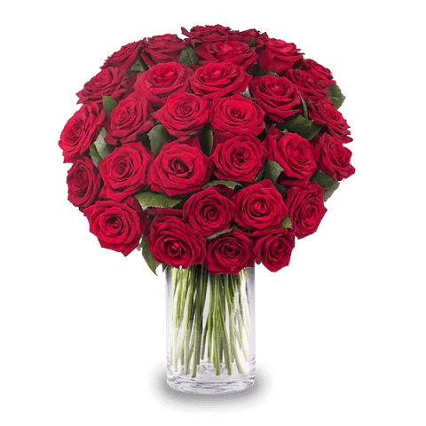 30 Roses