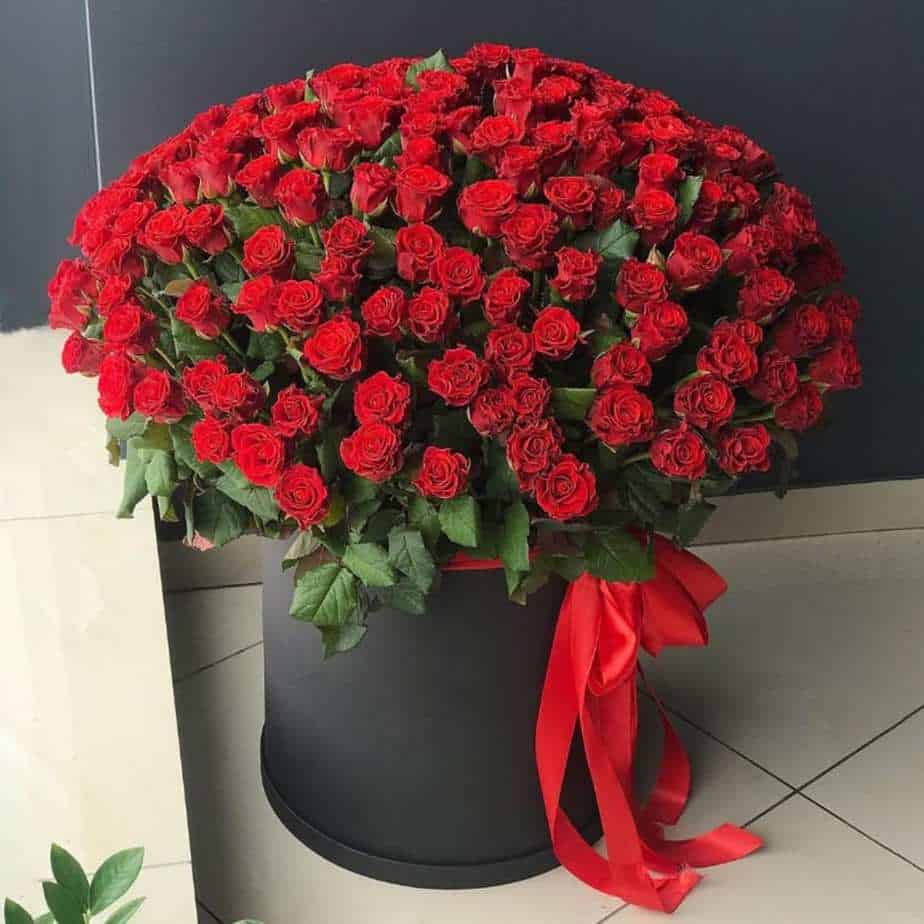 360 Roses Box